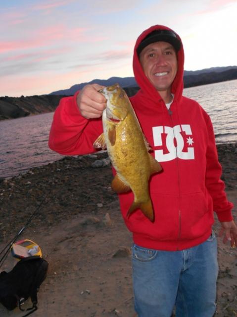 Small Mouth almost 3lbs
Caught on skinny dipper