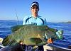 Click image for larger version. 

Name:	smWrasse.jpg 
Views:	97 
Size:	64.7 KB 
ID:	43269
