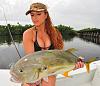 Click image for larger version. 

Name:	girls_fishing_in_bikinis_31.jpg 
Views:	136 
Size:	58.9 KB 
ID:	47398