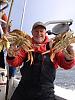 Click image for larger version. 

Name:	Crab fishing Bodega Bay usa.jpg 
Views:	94 
Size:	36.2 KB 
ID:	47681