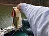Click image for larger version. 

Name:	Tellico bass 3.jpg 
Views:	124 
Size:	91.4 KB 
ID:	52594