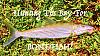 Click image for larger version. 

Name:	Bay Bonefish.jpg 
Views:	72 
Size:	115.6 KB 
ID:	53070