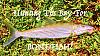 Click image for larger version. 

Name:	Bay Bonefish.jpg 
Views:	69 
Size:	115.6 KB 
ID:	53070