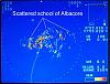 Click image for larger version. 

Name:	School of Albacore 2.JPG 
Views:	14 
Size:	41.5 KB 
ID:	54100