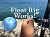 Click image for larger version. 

Name:	Float Rig.jpg 
Views:	86 
Size:	92.0 KB 
ID:	51962