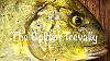 Click image for larger version. 

Name:	Golden Trevally-Cover.jpg 
Views:	51 
Size:	105.0 KB 
ID:	53699