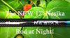 Click image for larger version. 

Name:	Nesika at Night.jpg 
Views:	43 
Size:	21.9 KB 
ID:	53305