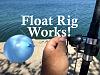 Click image for larger version. 

Name:	Float Rig.jpg 
Views:	87 
Size:	92.0 KB 
ID:	51962