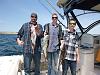 Click image for larger version. 

Name:	Fishing in Bodega Bay.jpg 
Views:	101 
Size:	92.7 KB 
ID:	47677